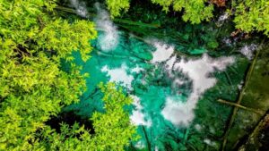 One Day Trip Krabi Highlights Hot Springs Waterfall • Emerald Pool • Tiger Cave Temple