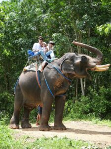 Krabi One Day Adventure Elephant Sanctuary • ATV Jungle Adventure (Ao Nang)