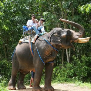 Krabi One Day Adventure Elephant Sanctuary • ATV Jungle Adventure (Ao Nang)